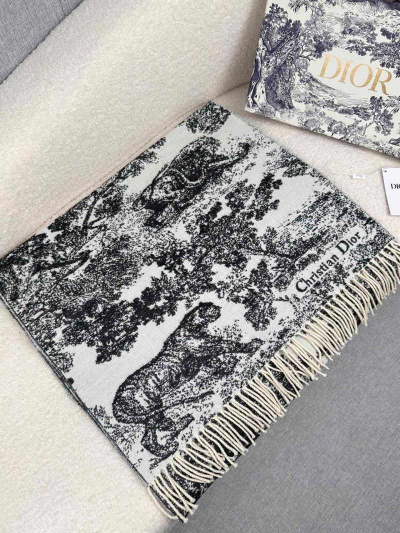 Christian Dior Scarf